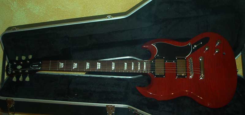 Das Conversion Projekt Variax - SG