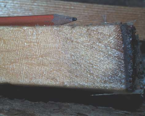 Holzverarbeitung