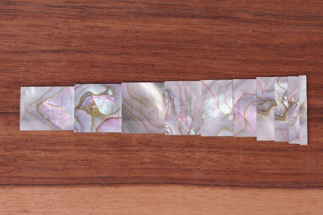 10er Satz Block Inlays echtes Abalone (LP)