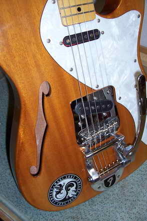 Bigsby B5 eingebaut