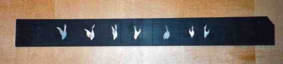 Perlmutt nach dem Einlegen