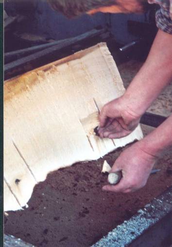 Eingewachsener Stacheldraht!!!