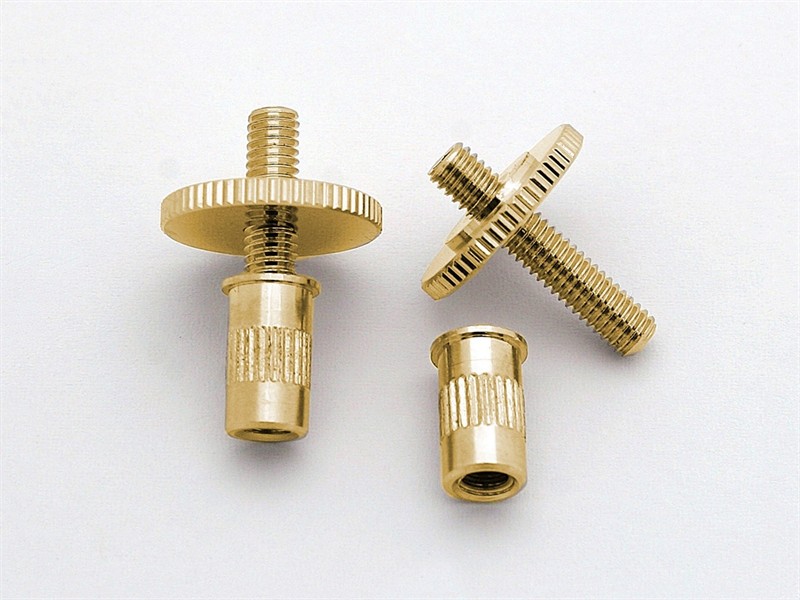 Set Brückenschrauben M4 x 20 Mit Bushing,Gold