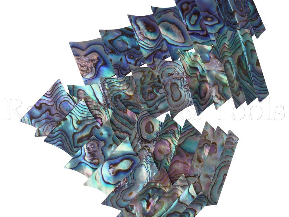 9'er Satz Trapez Inlays echtes Abalone (SG)